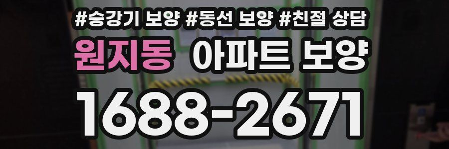 원지동 아파트 보양