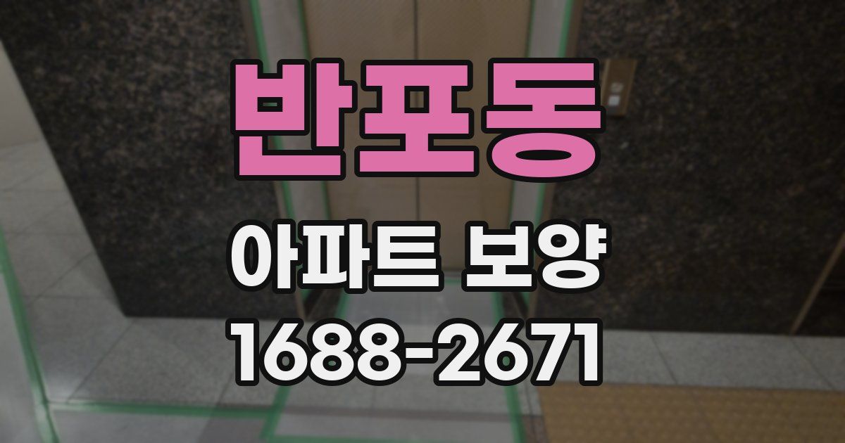 반포동 아파트 보양