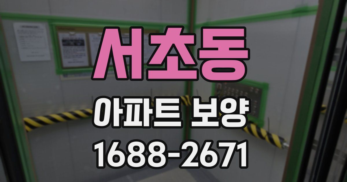 서초동 아파트 보양