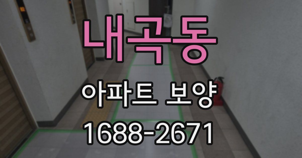 내곡동 아파트 보양