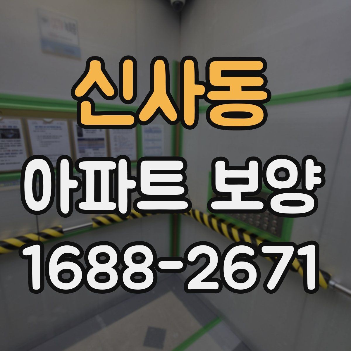 신사동 아파트 보양 전후 비교로 보는 변화