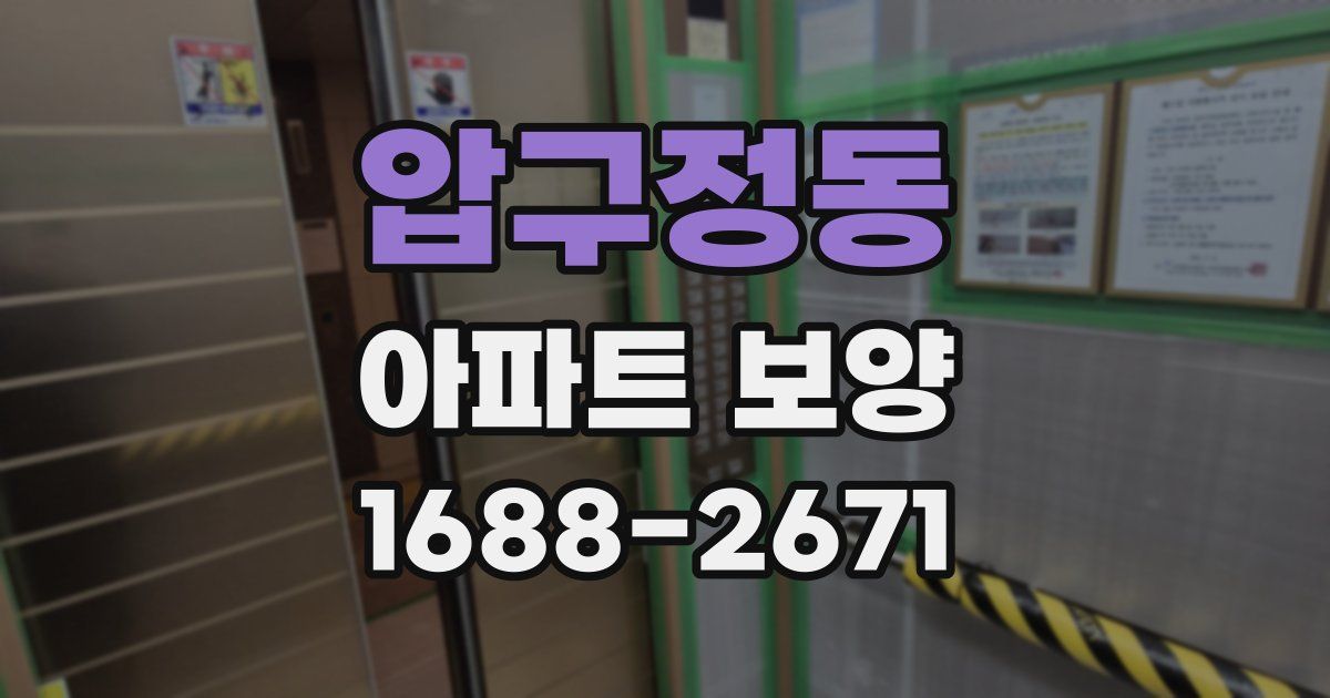 압구정동 아파트 보양
