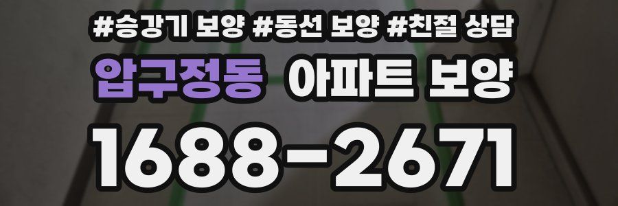 압구정동 아파트 보양