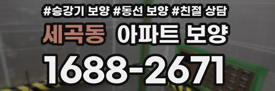 세곡동 아파트 보양