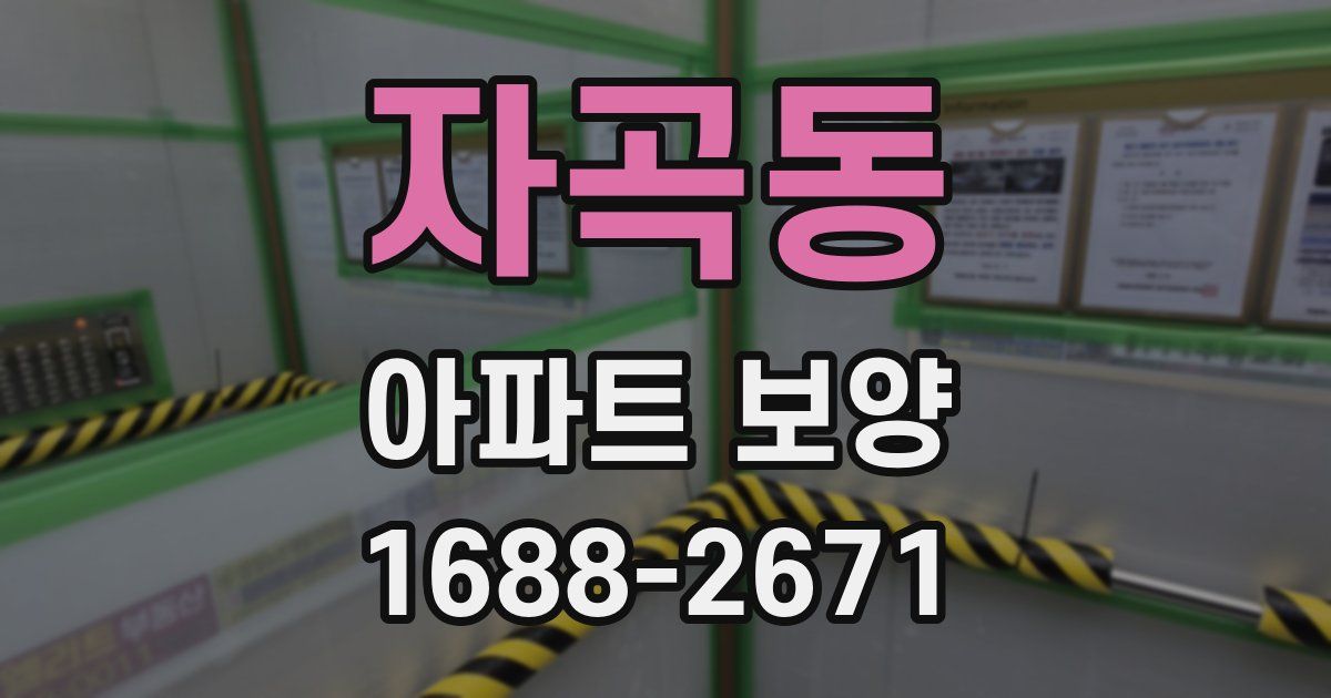 자곡동 아파트 보양