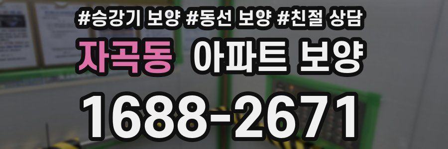 자곡동 아파트 보양