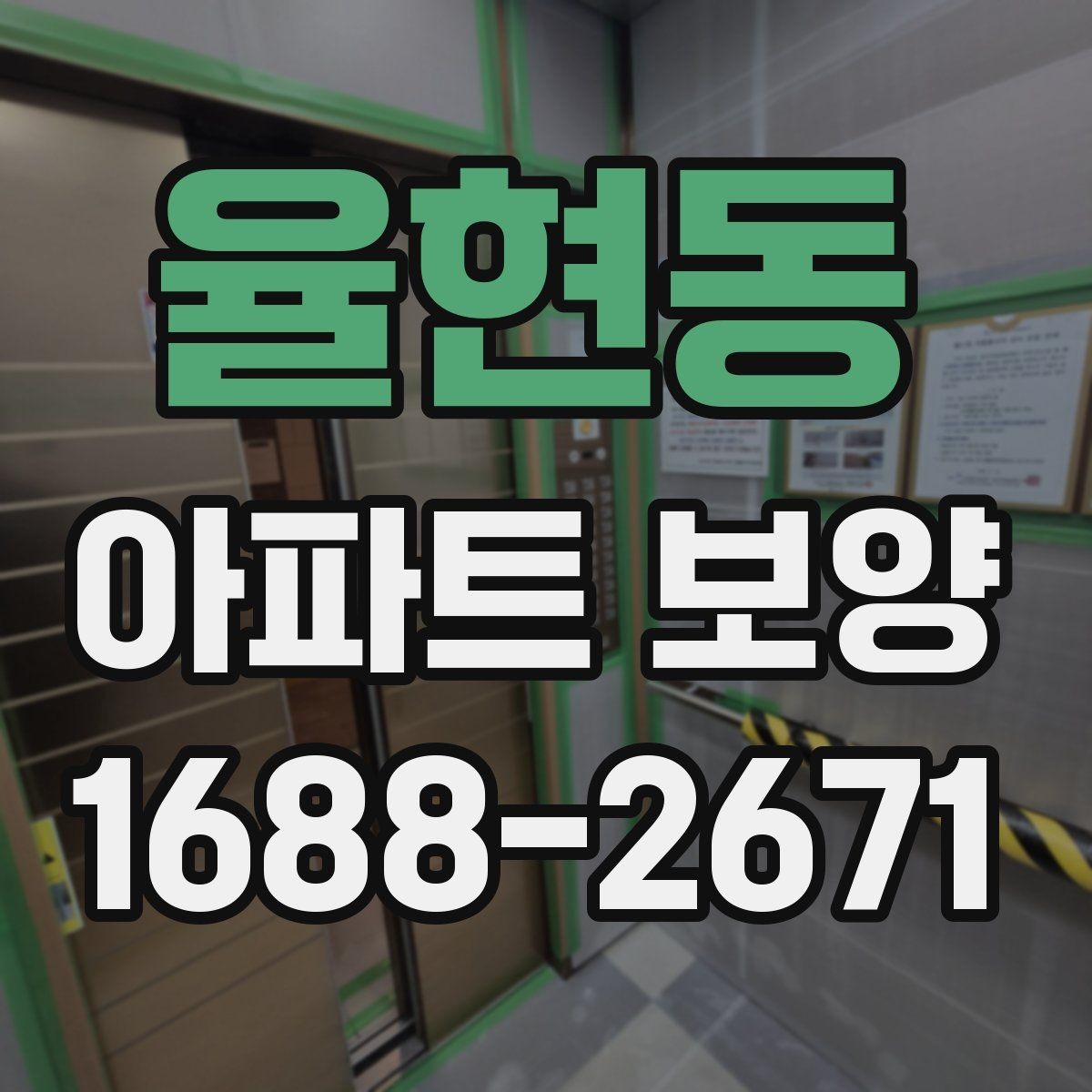 율현동 아파트 보양 비용과 일정의 상관관계