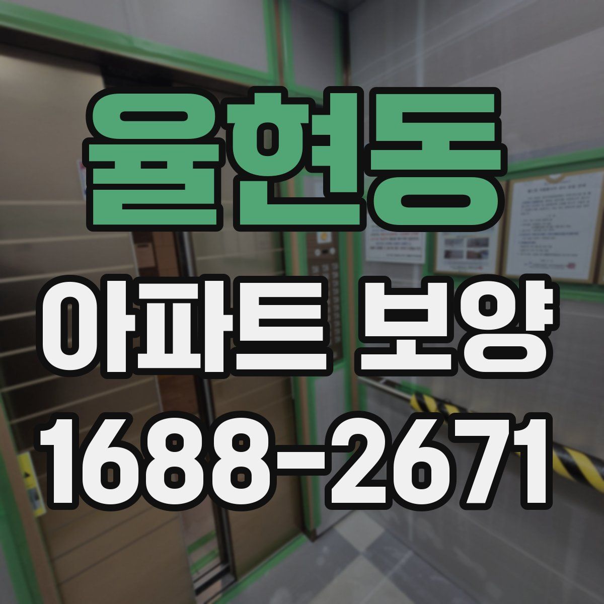 율현동 아파트 보양