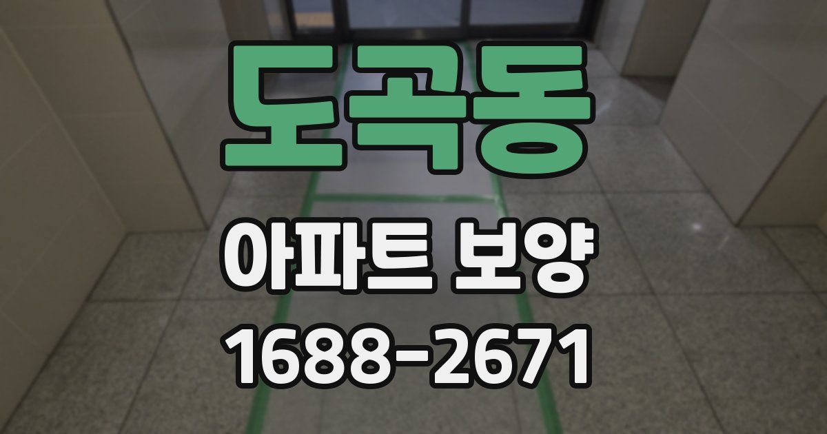 도곡동 아파트 보양