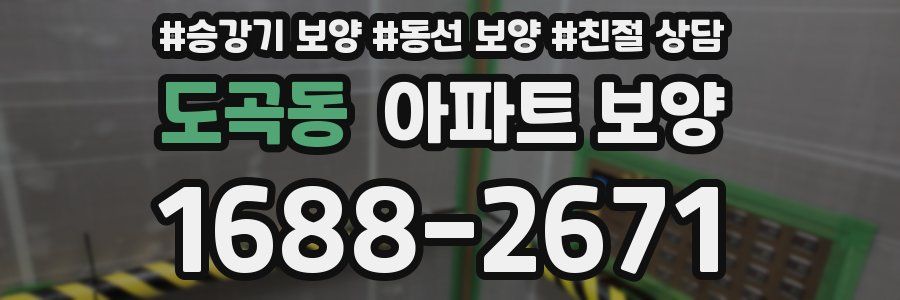 도곡동 아파트 보양