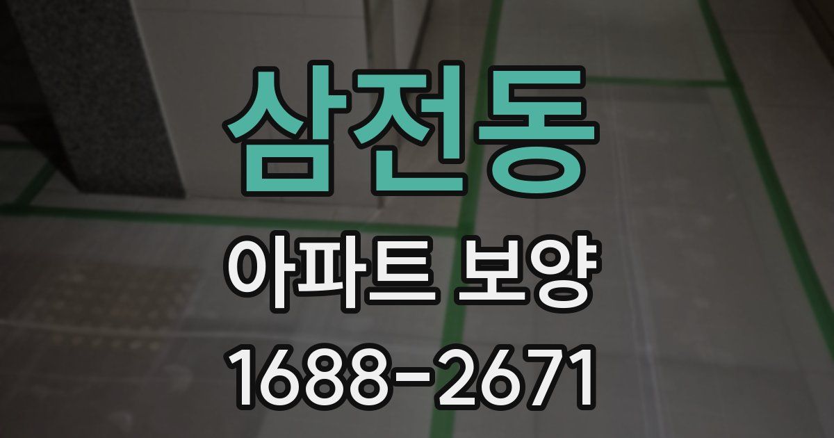 삼전동 아파트 보양