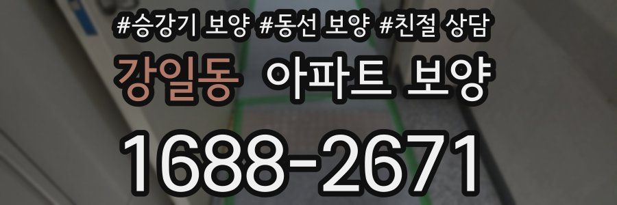 강일동 아파트 보양