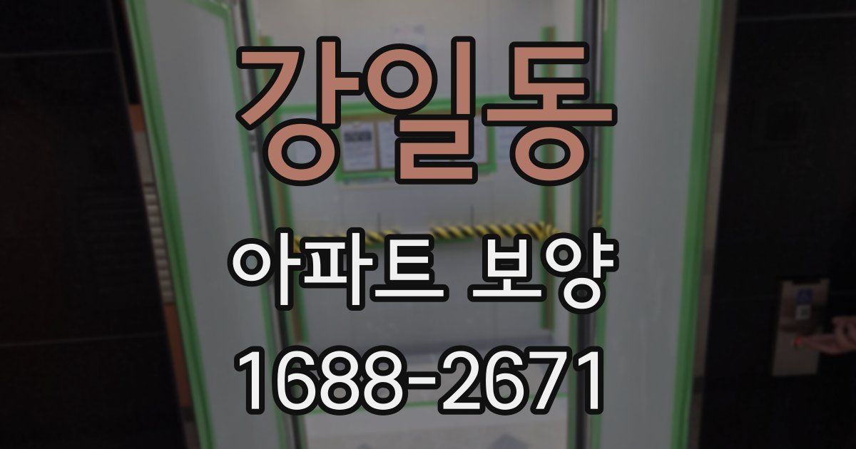 강일동 아파트 보양