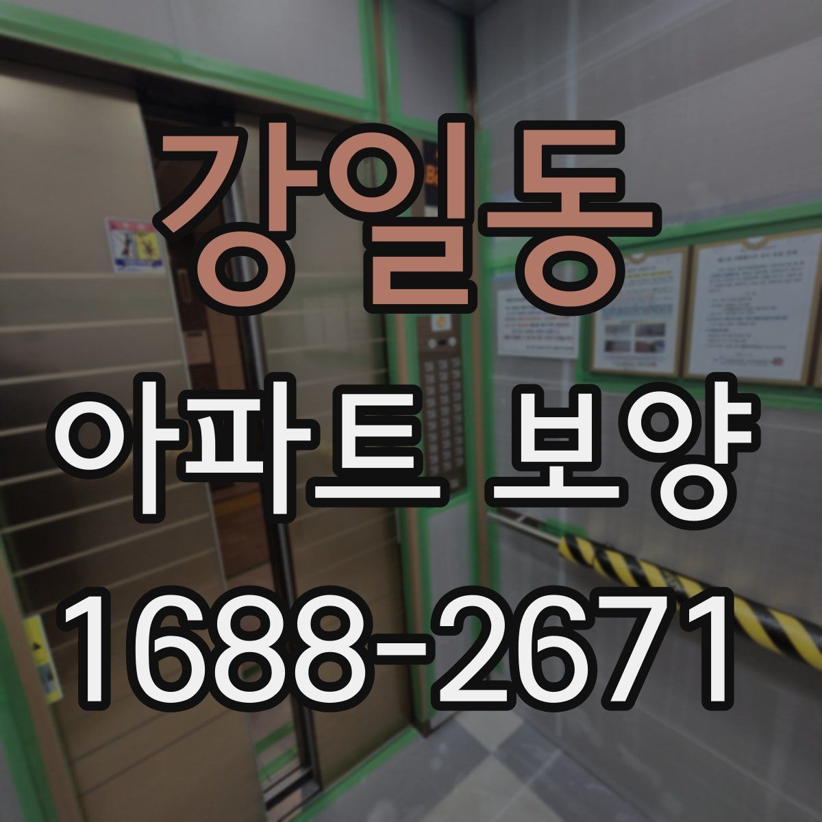 강일동 아파트 보양