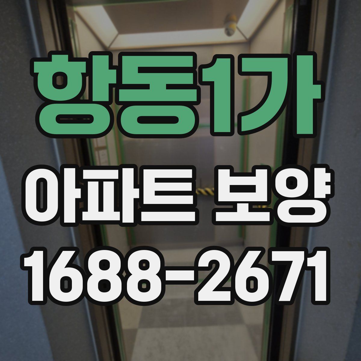 항동1가 아파트 보양