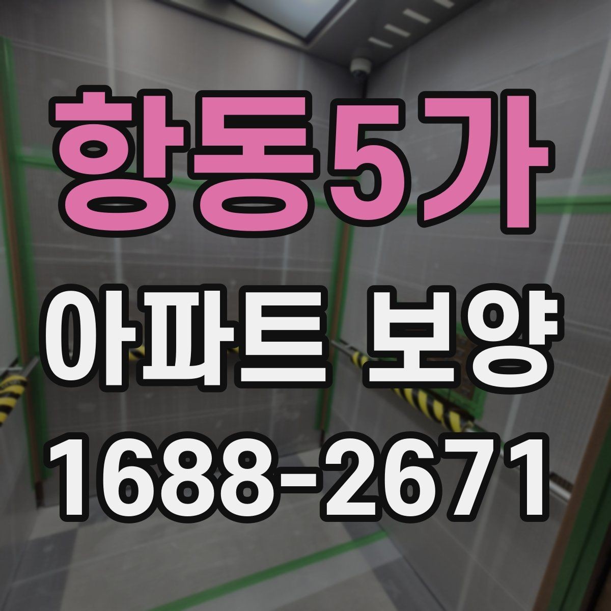 항동5가 아파트 보양 현장 사례로 배우는 운영 노하우