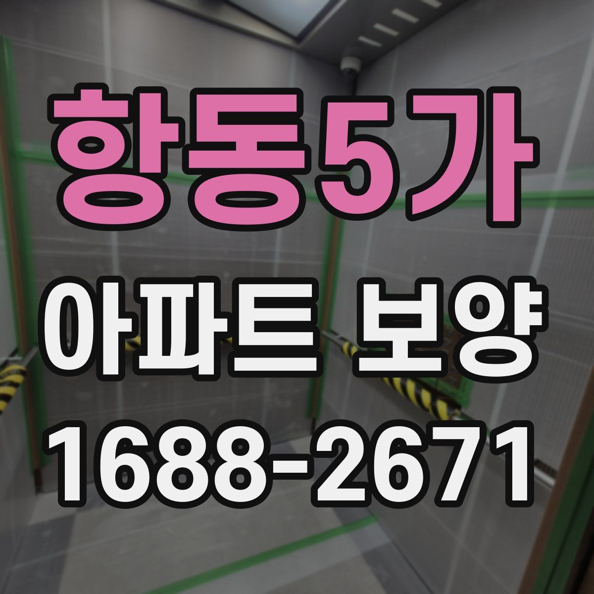 항동5가 아파트 보양