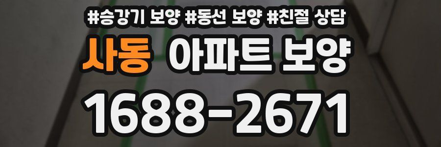 사동 아파트 보양