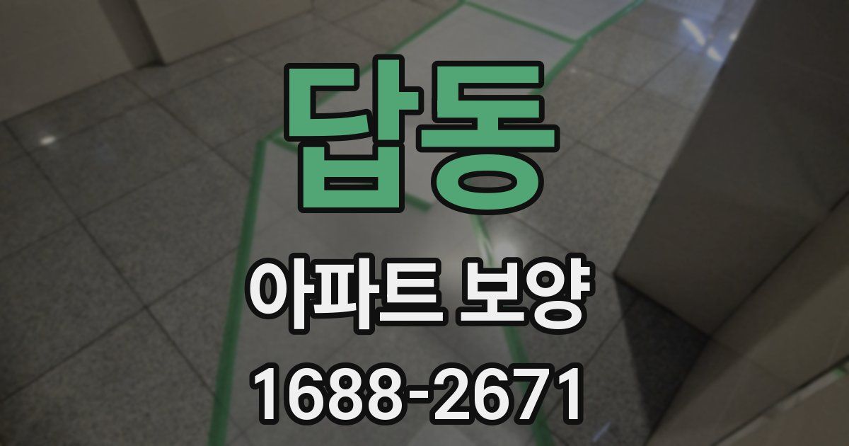 답동 아파트 보양