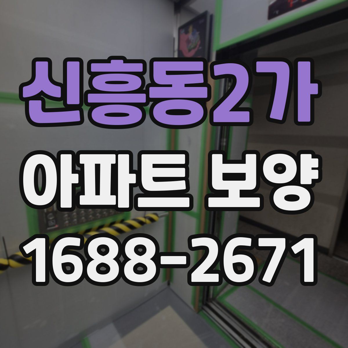 신흥동2가 아파트 보양