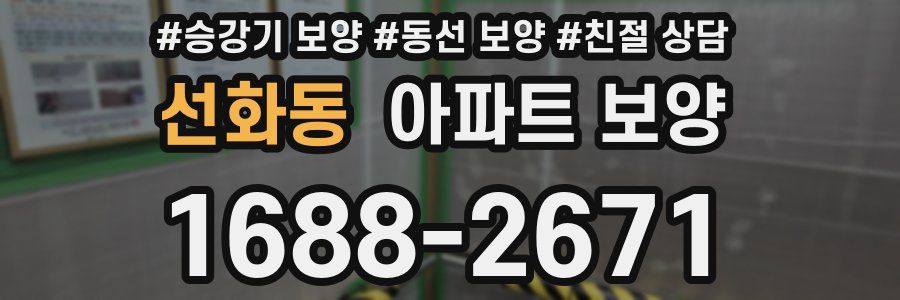 선화동 아파트 보양