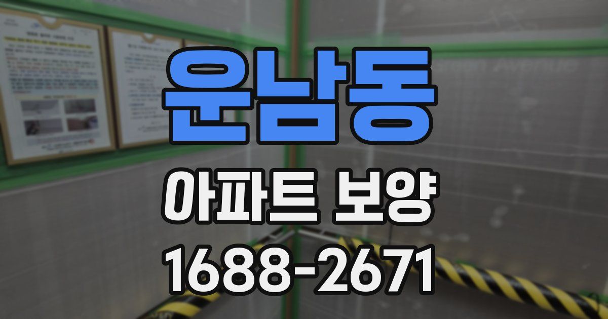 운남동 아파트 보양