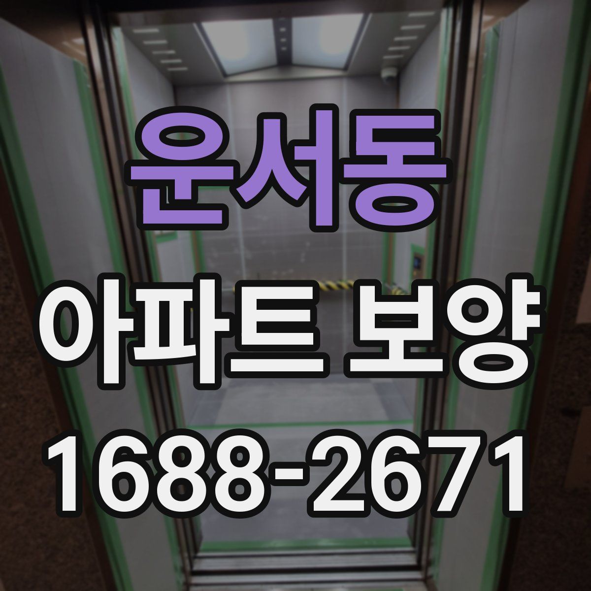 운서동 아파트 보양