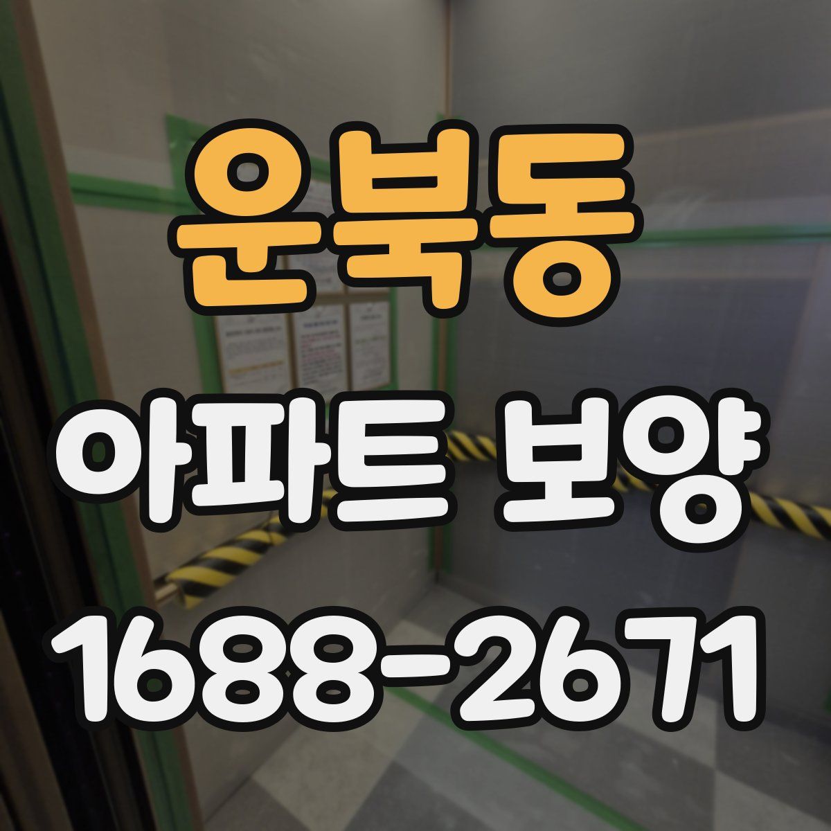 운북동 아파트 보양