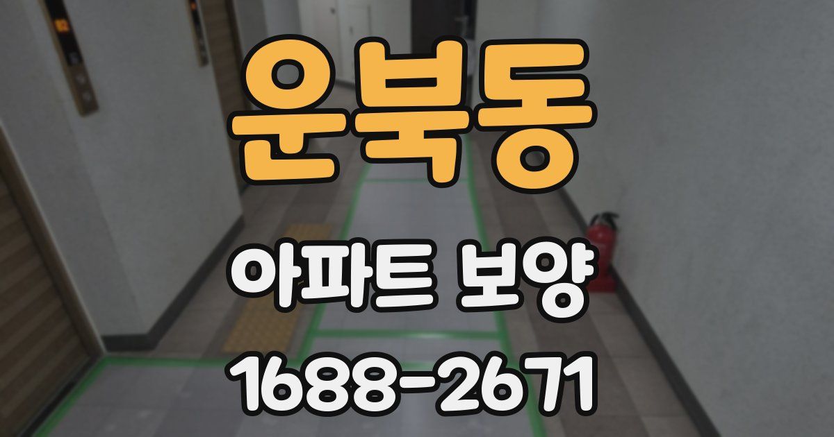운북동 아파트 보양