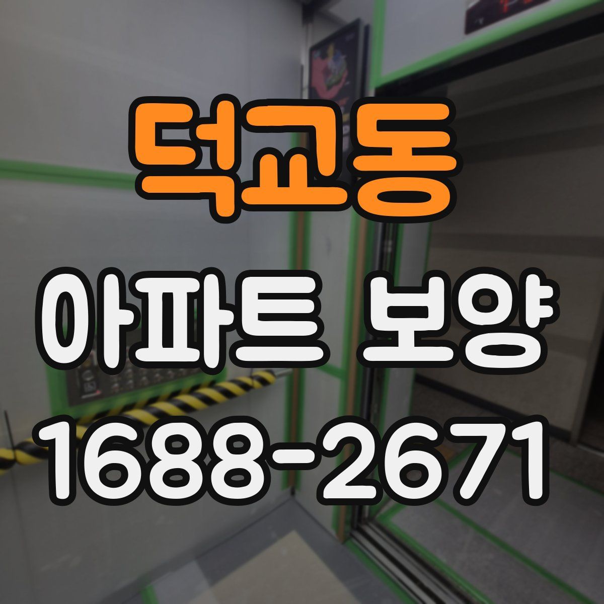 덕교동 아파트 보양