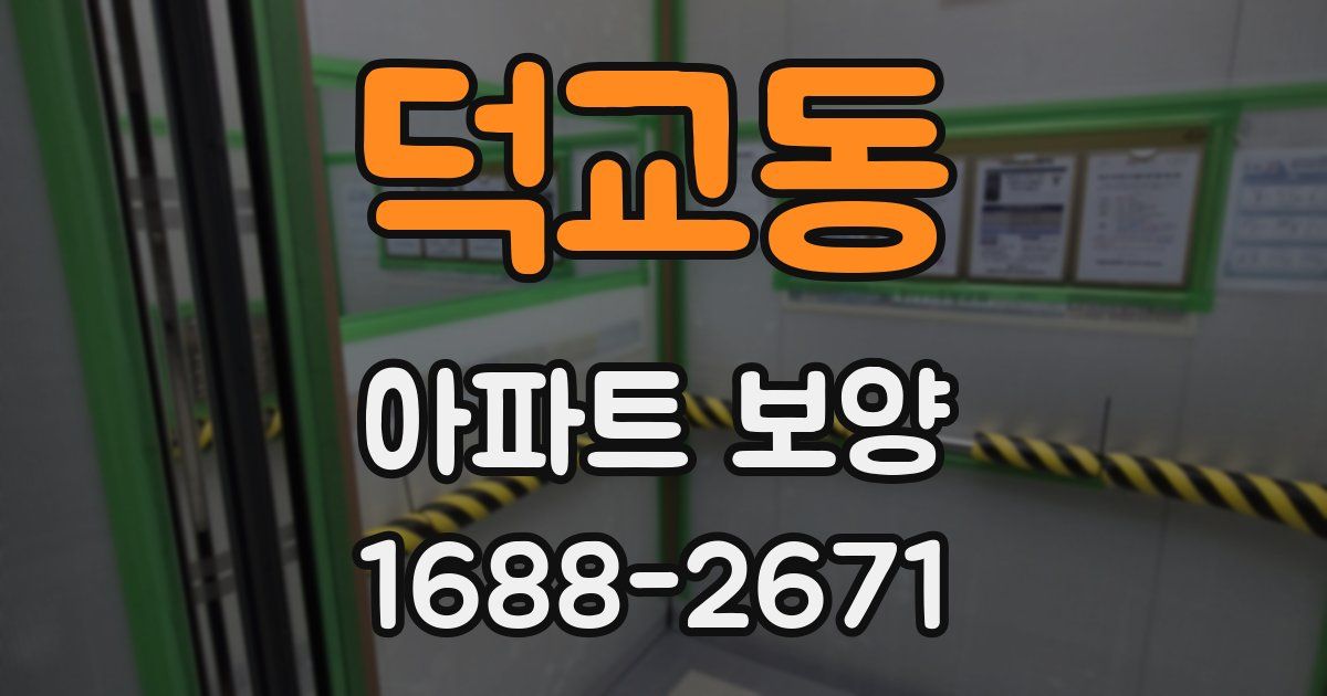 덕교동 아파트 보양