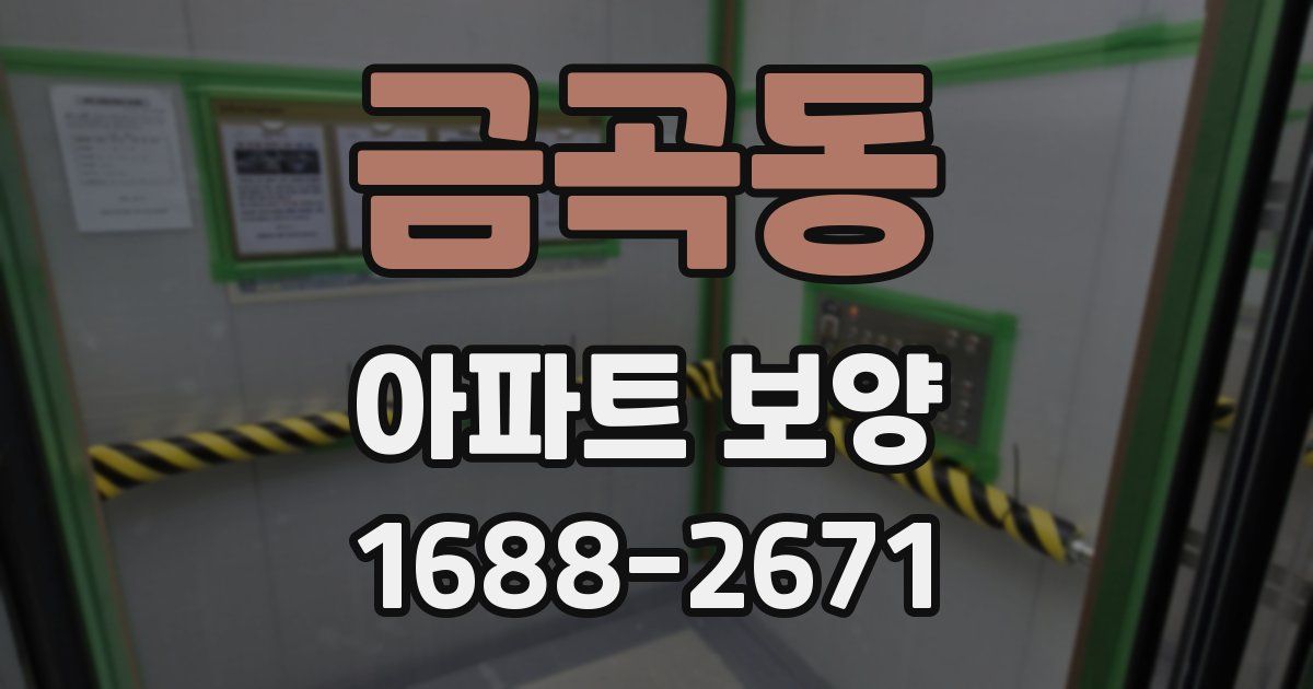 금곡동 아파트 보양