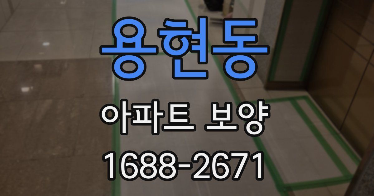 용현동 아파트 보양