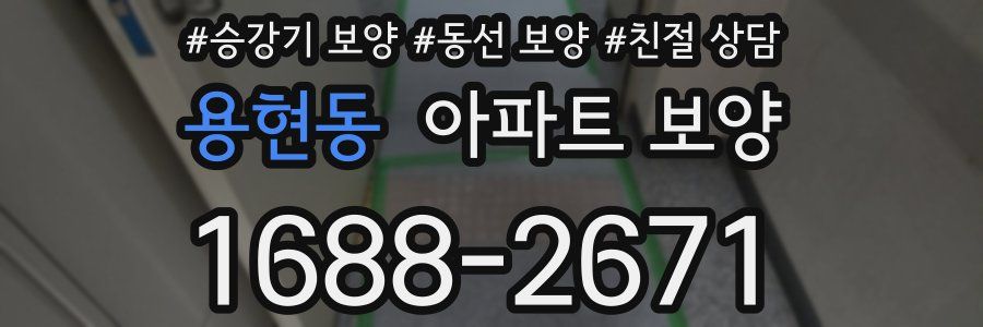 용현동 아파트 보양
