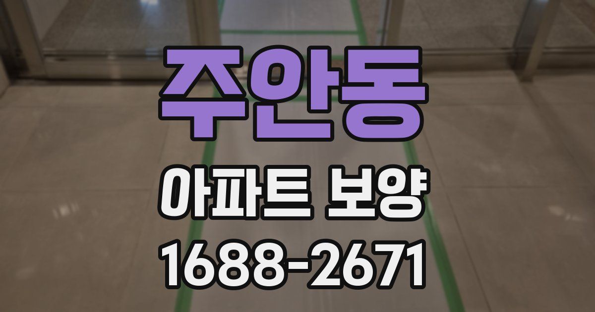 주안동 아파트 보양