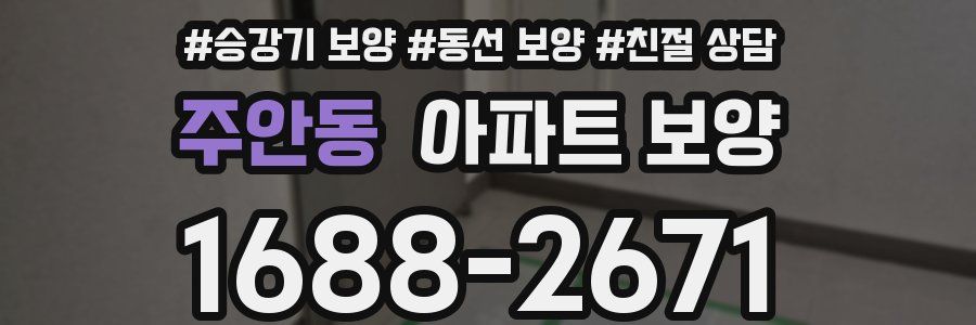 주안동 아파트 보양