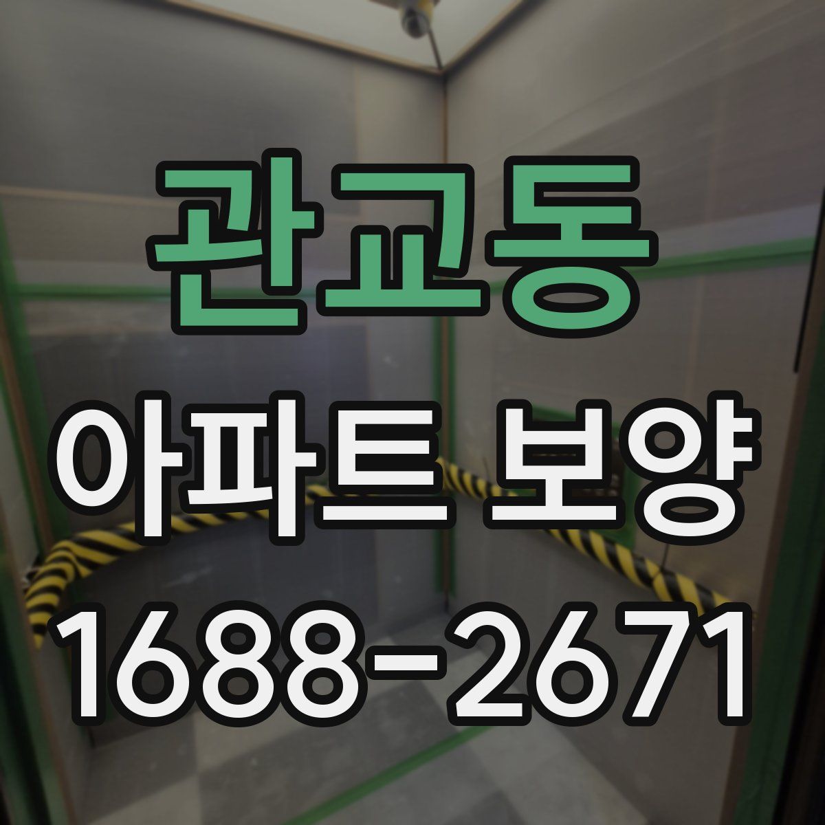 관교동 아파트 보양