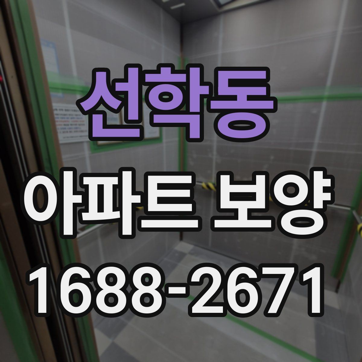 선학동 아파트 보양 부위별 관리 포인트