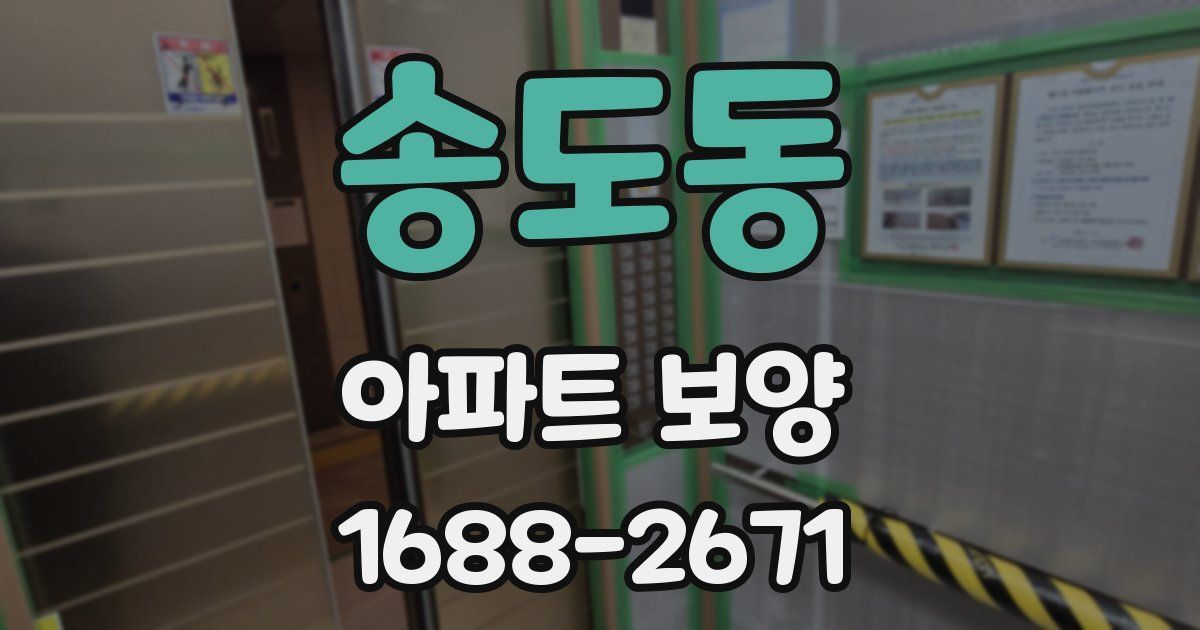 송도동 아파트 보양
