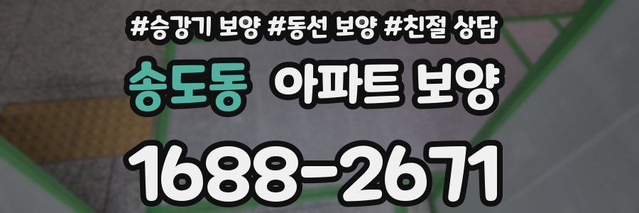 송도동 아파트 보양