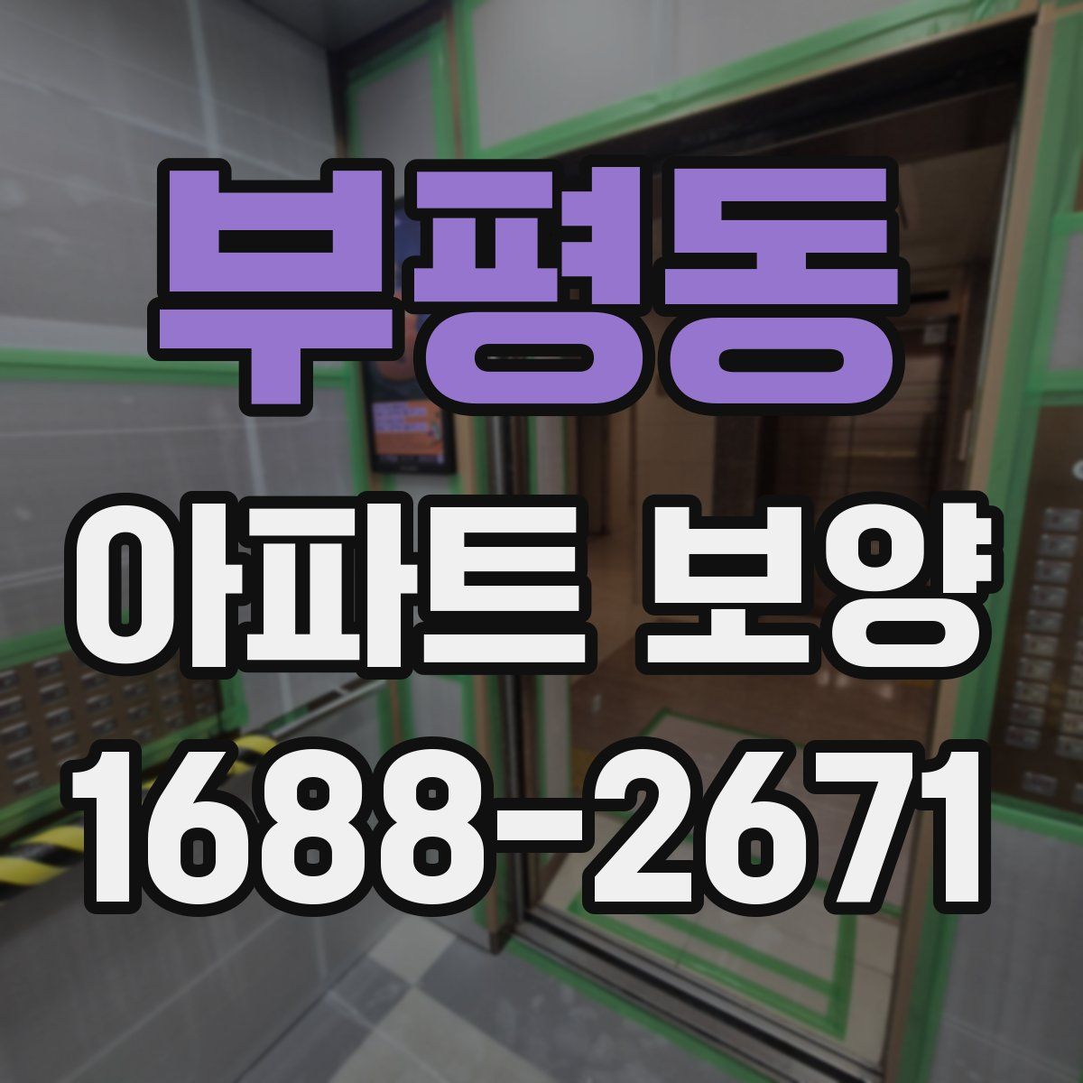 부평동 아파트 보양