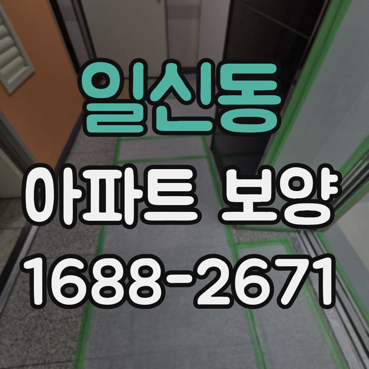 일신동 아파트 보양