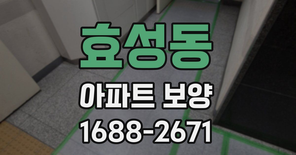효성동 아파트 보양