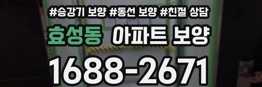 효성동 아파트 보양