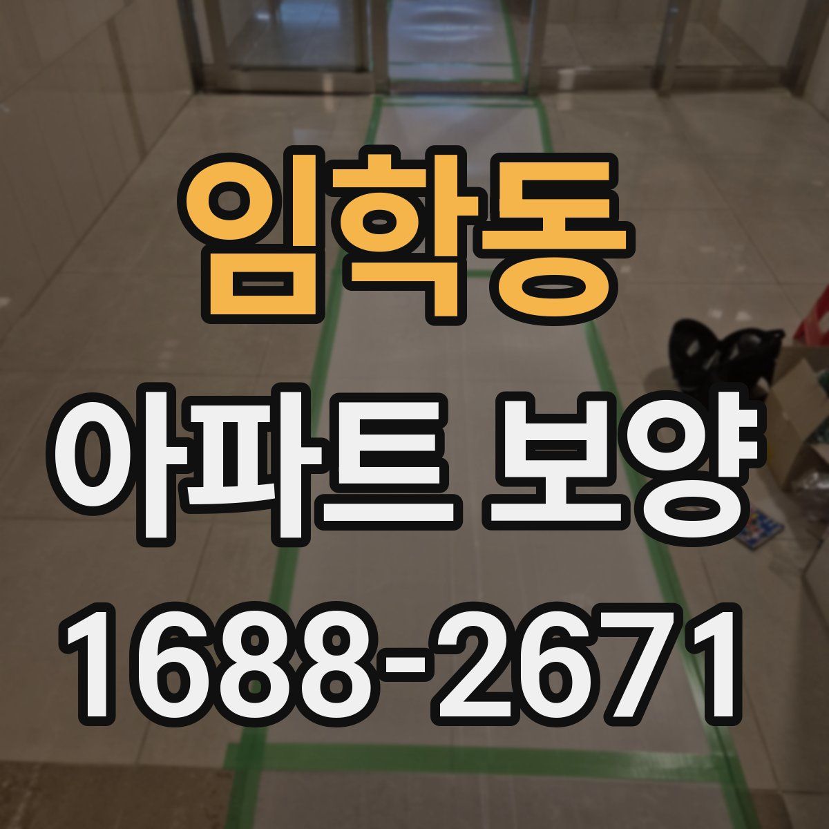 임학동 아파트 보양
