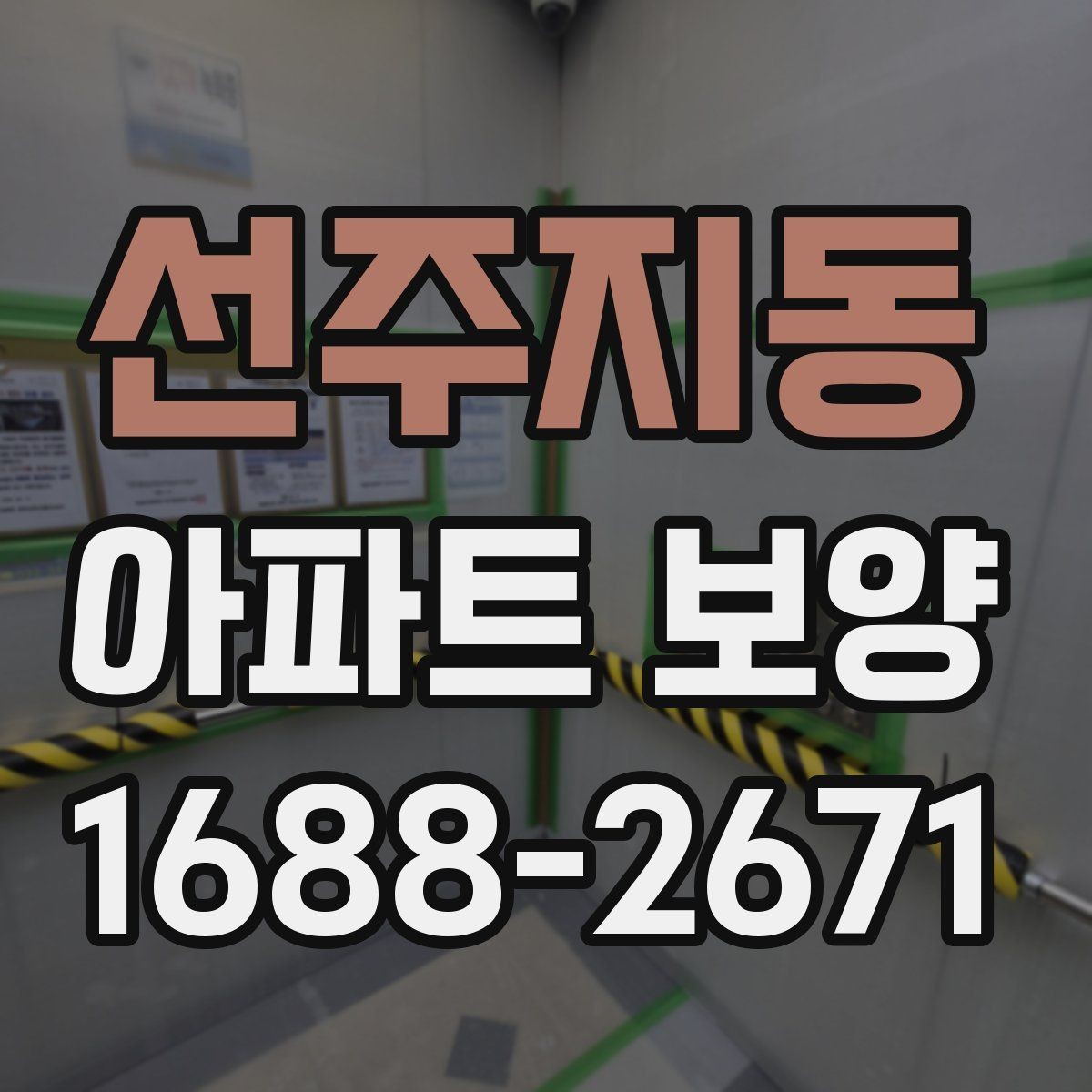 선주지동 아파트 보양 과정에서 바뀌기 쉬운 변수들