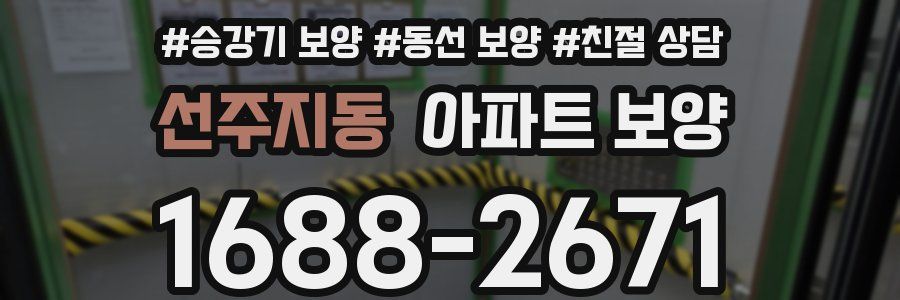 선주지동 아파트 보양