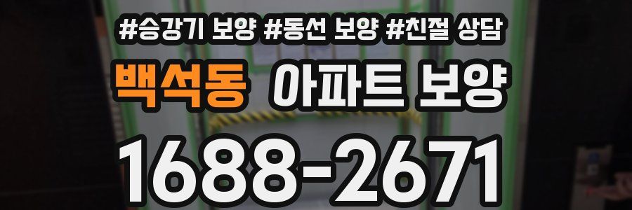 백석동 아파트 보양