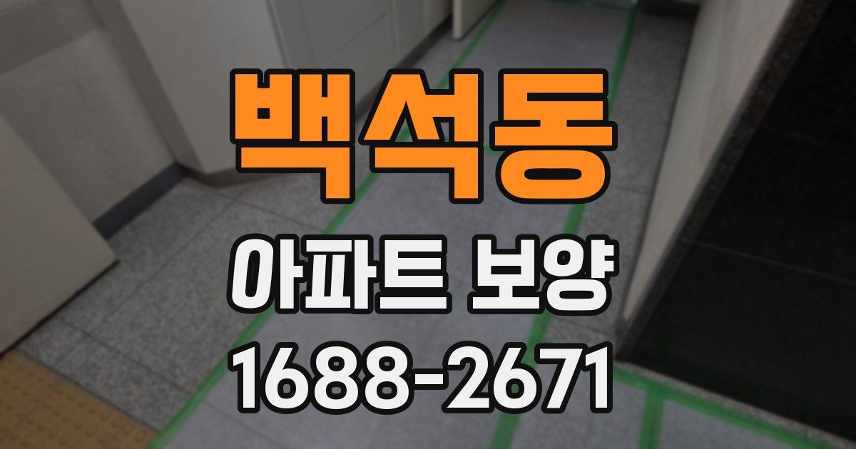 백석동 아파트 보양