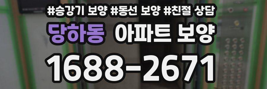 당하동 아파트 보양